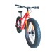 Fat Bike Elleven