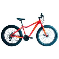 Fat Bike Elleven