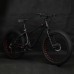 Fat Bike Elleven